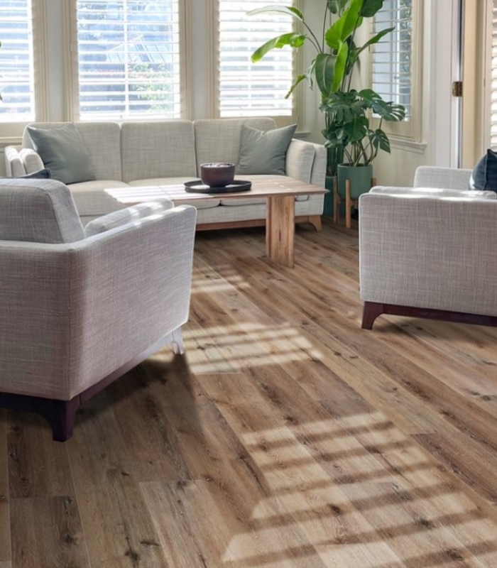 Screenshot_20240906_125758_Photos (1)